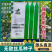 强雌耐热无敌丝瓜种子果型顺直高产肉质紧实节节有瓜长丝瓜种