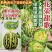 花荣甜歌甜瓜种子大果花皮绿肉高糖杂交甜瓜种籽抗裂大棚露地