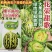 花荣甜歌甜瓜种子大果花皮绿肉高糖杂交甜瓜种籽抗裂大棚露地