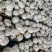 湖北精品花椰菜基地直供大量供应量大质优欢迎咨询