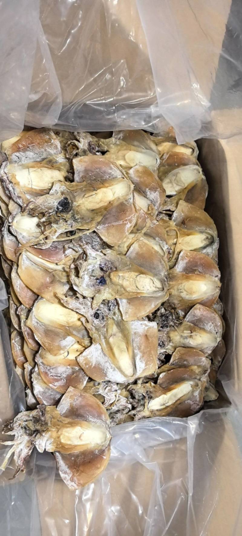 浙江本港14-16个，当季新货味道鲜美