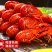 精品调味龙虾常年有货味美味鲜肉质饱满欢迎咨询