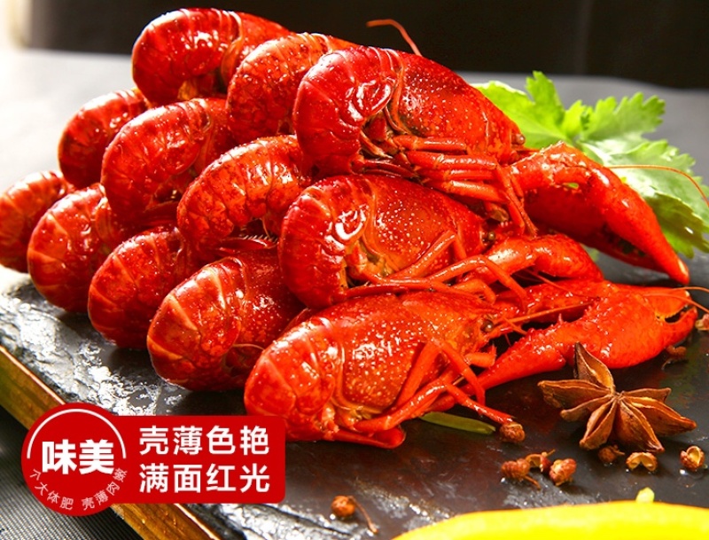 精品调味龙虾常年有货味美味鲜肉质饱满欢迎咨询