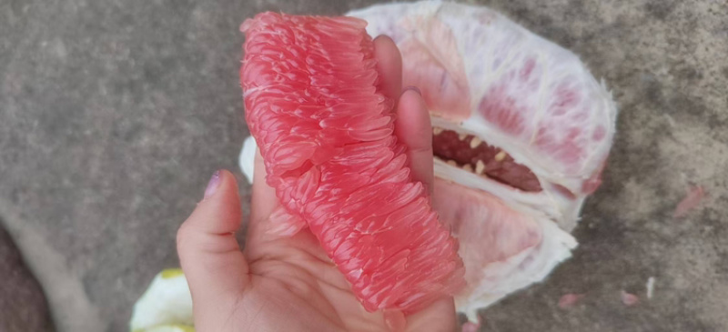 红心蜜柚，价格美丽一手货源产地直供欢迎联系