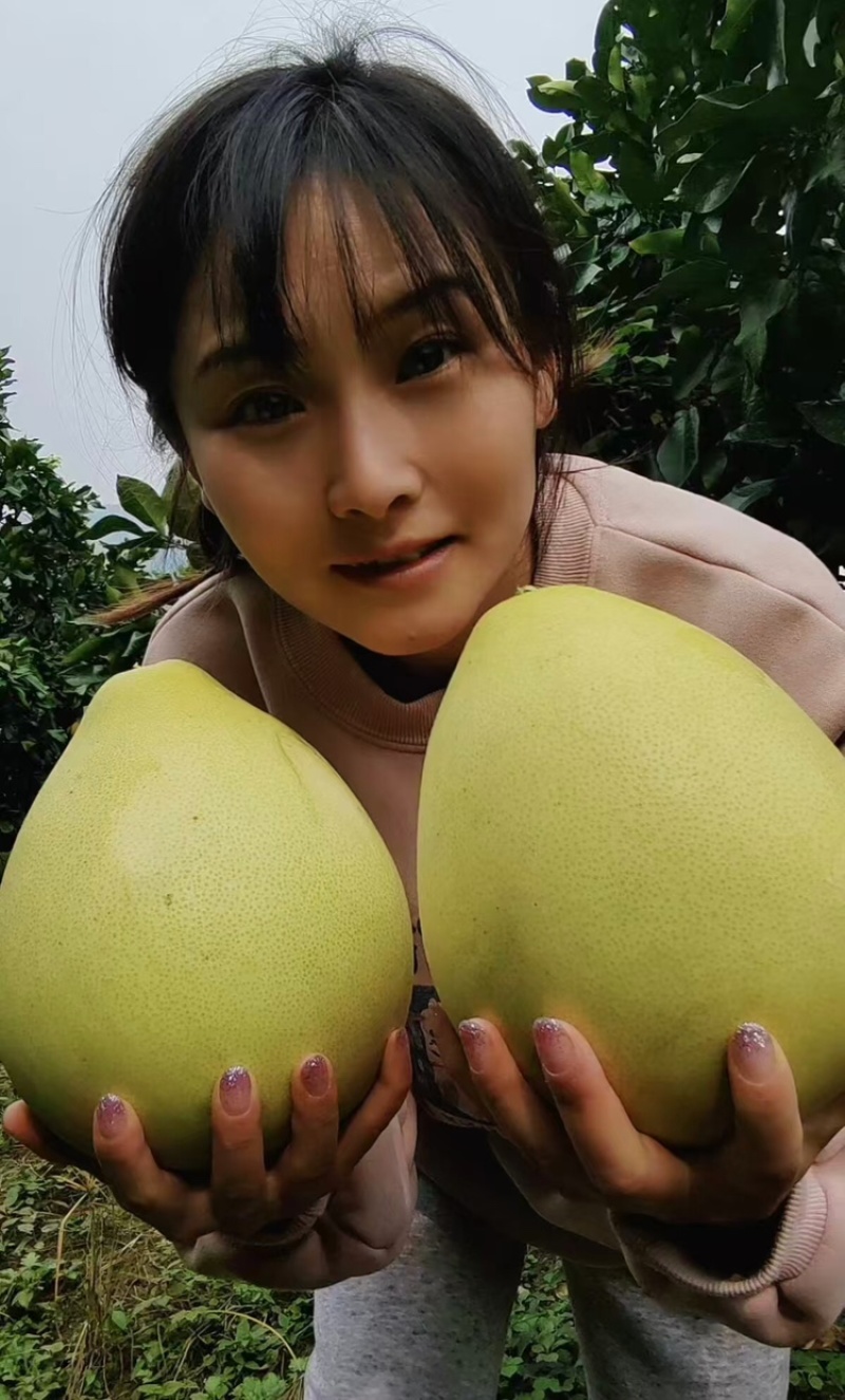 红心蜜柚，价格美丽一手货源产地直供欢迎联系