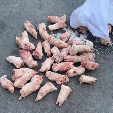 猪蹄