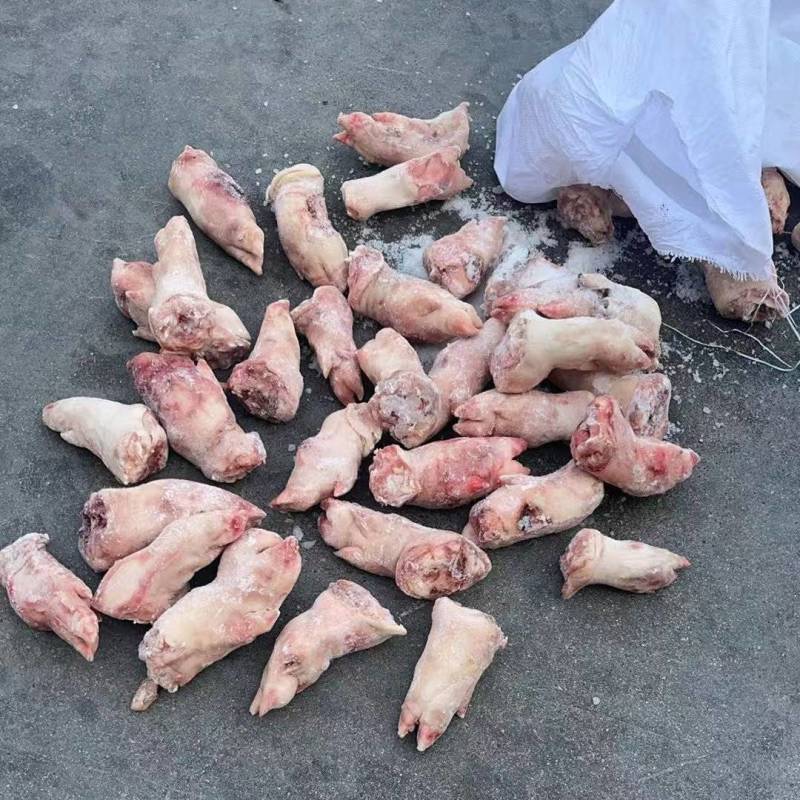 猪蹄