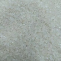 大米珍珠米长粒香碎米都有付款3/7东北发货大宗交易含税运全国