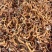 玉竹中药材玉竹条子天然中药材干货正品中药材