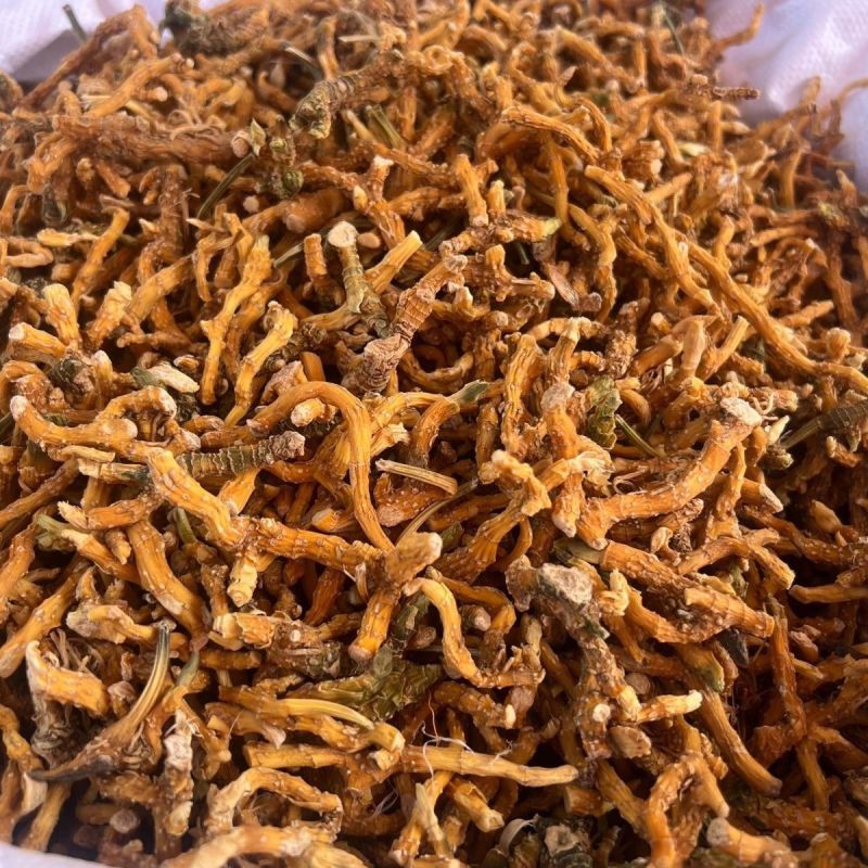 玉竹中药材玉竹条子天然中药材干货正品中药材