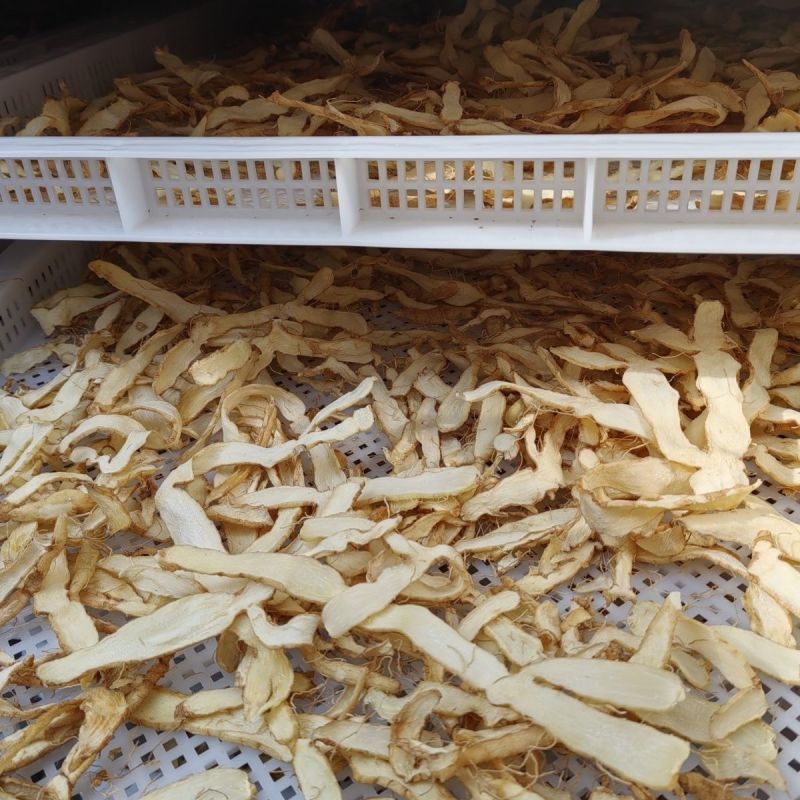 玉竹片中药材无熏硫玉竹精选优质正宗玉竹片正品