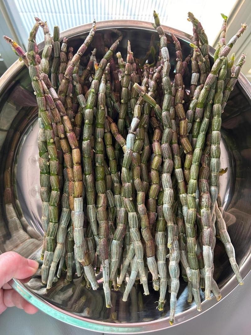 【石斛】石斛枫斗芽条米斛珍虫石斛龙头凤尾中药材