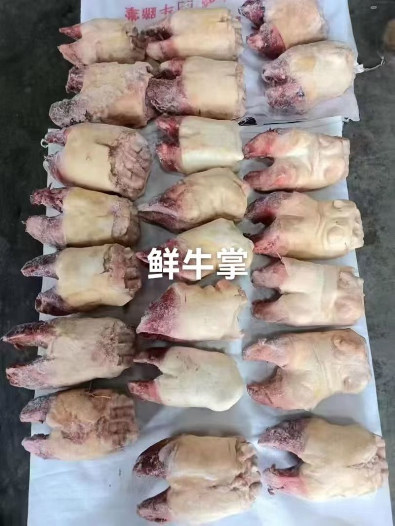 鲜牛掌牛蹄脚前蹄掌生水带骨牛掌牛蹄掌