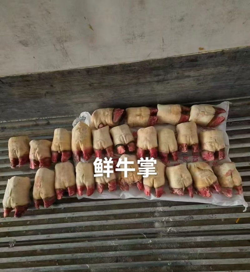 鲜牛掌牛蹄脚前蹄掌生水带骨牛掌牛蹄掌