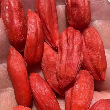 锁鲜枸杞