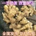 菏泽生姜大黄姜老姜鲜姜辣味足块头大【电商市场商超外贸】