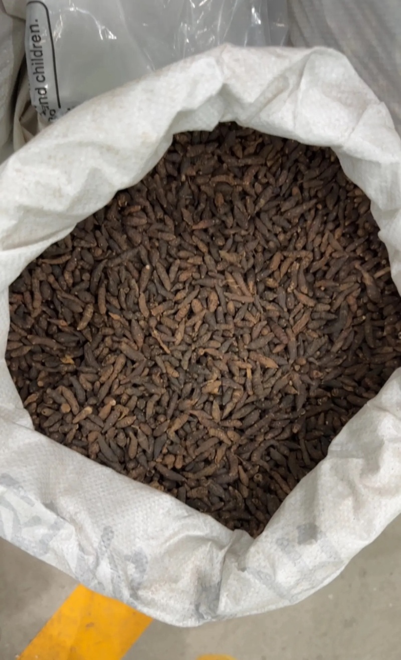 【香附】正品香附颜色好无霉纯干货保质保量