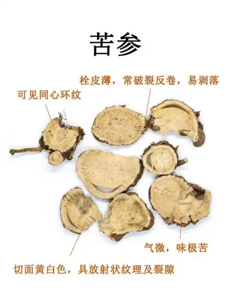 【精品苦参】河北纯干货颜色好无硫品质高保含量