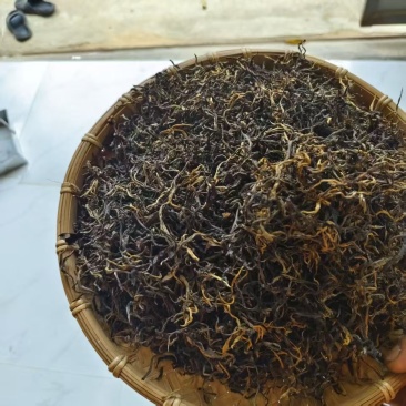 滇红茶