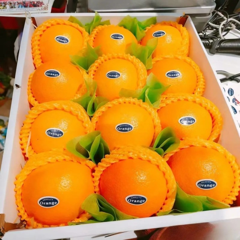 赣南脐橙