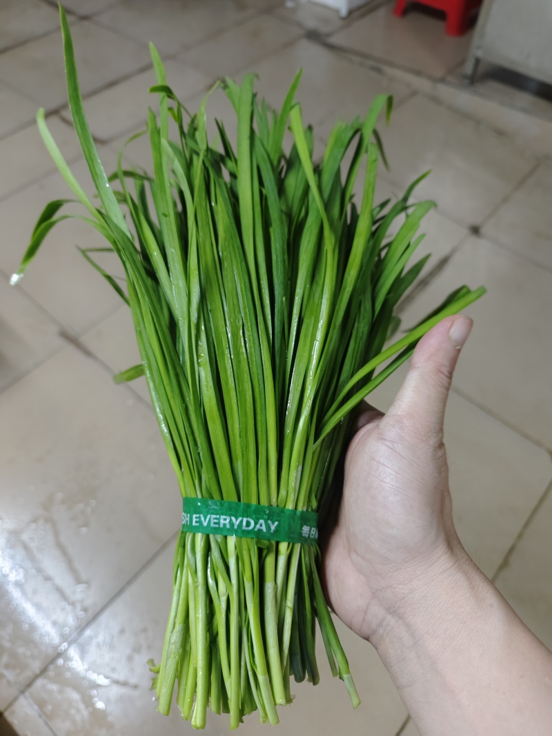 供港扎把，定量韭菜
