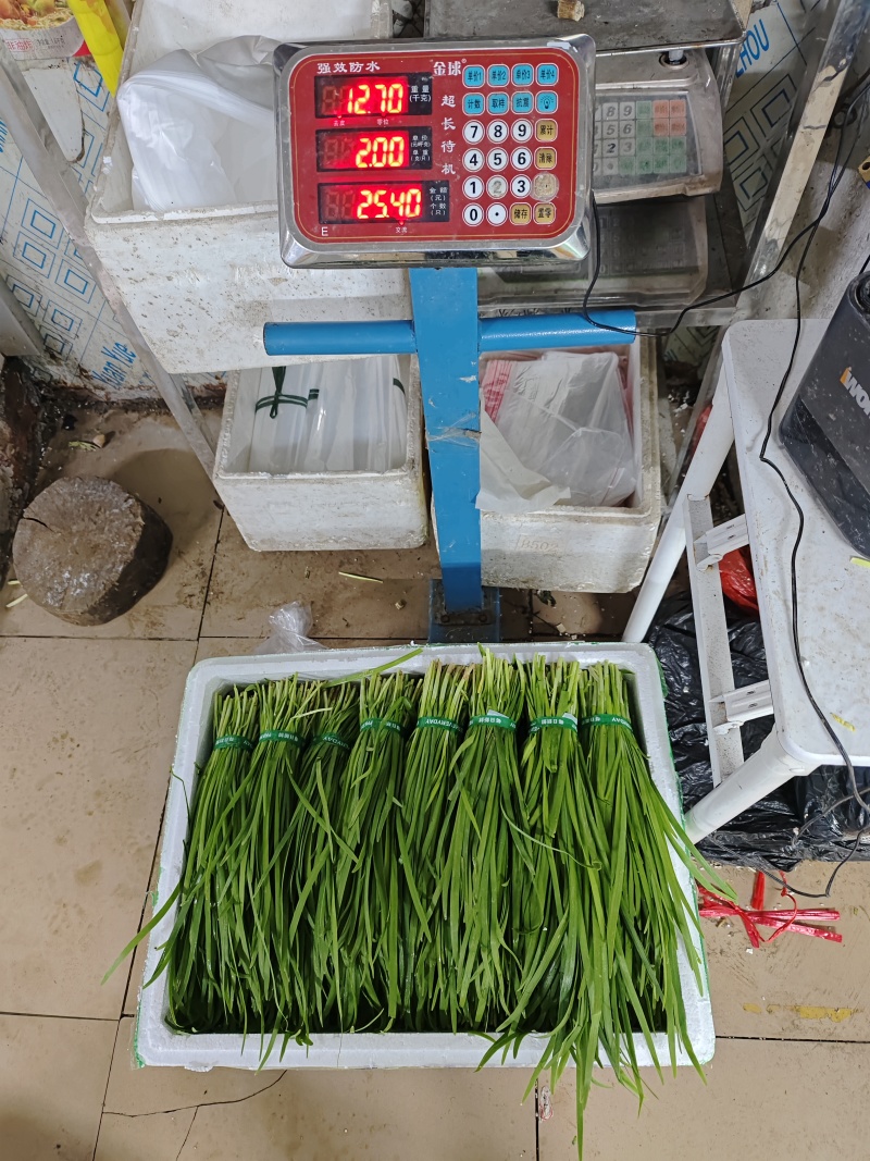 供港扎把，定量韭菜