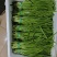 供港扎把，定量韭菜