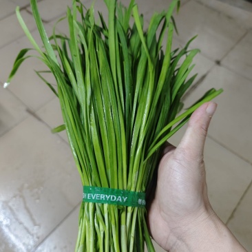 供港扎把，定量韭菜