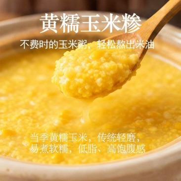 甘肃厂家直发可定制黄糯玉米糁黄糯玉米碴粘玉米渣熬粥香糯