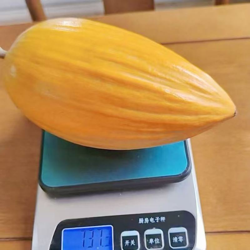 云南鸡蛋果耀堂仙桃木瓜仙桃老品种蛋黄果狮头果产地一件代发