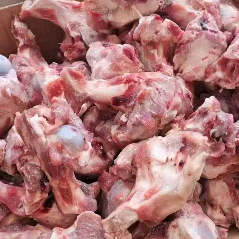 多肉大棒骨