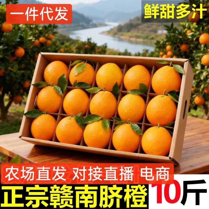 【一件代发】正宗赣南脐橙电商直播可指定赣南发货
