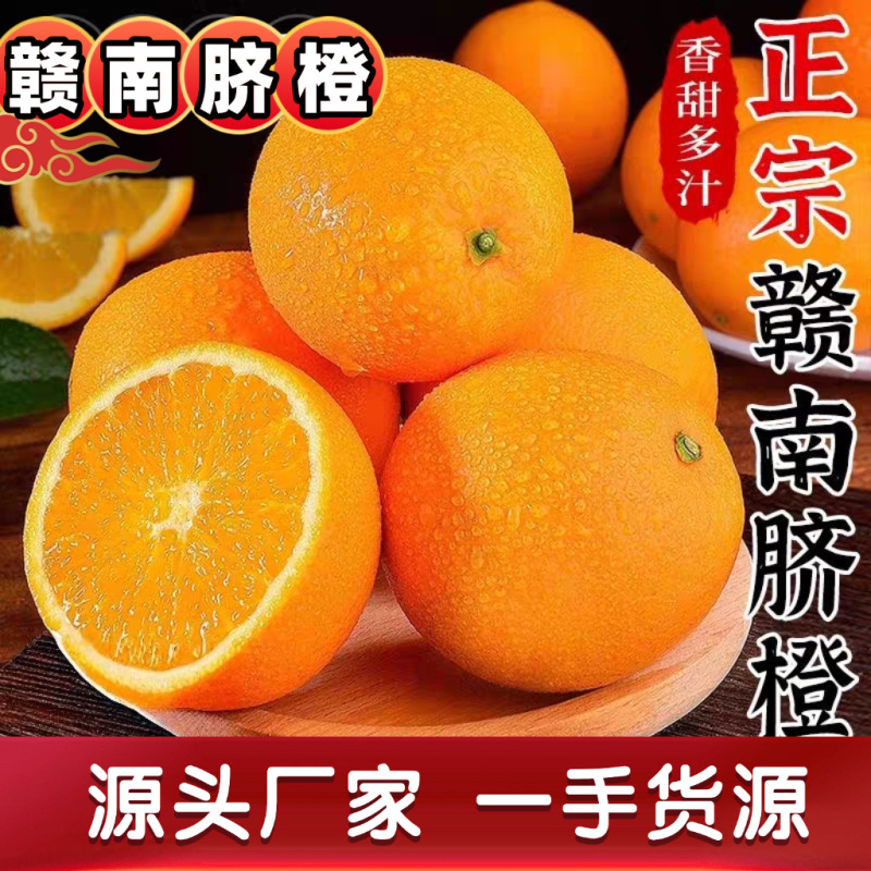 【一件代发】正宗赣南脐橙电商直播可指定赣南发货