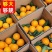 【一件代发】正宗赣南脐橙电商直播可指定赣南发货