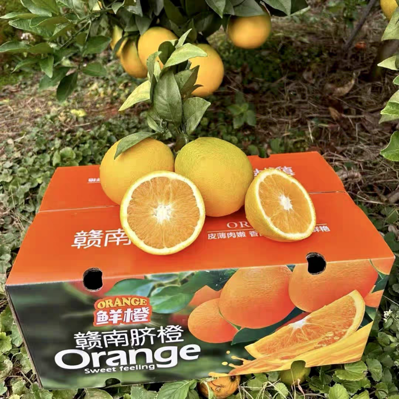 【一件代发】正宗赣南脐橙电商直播可指定赣南发货