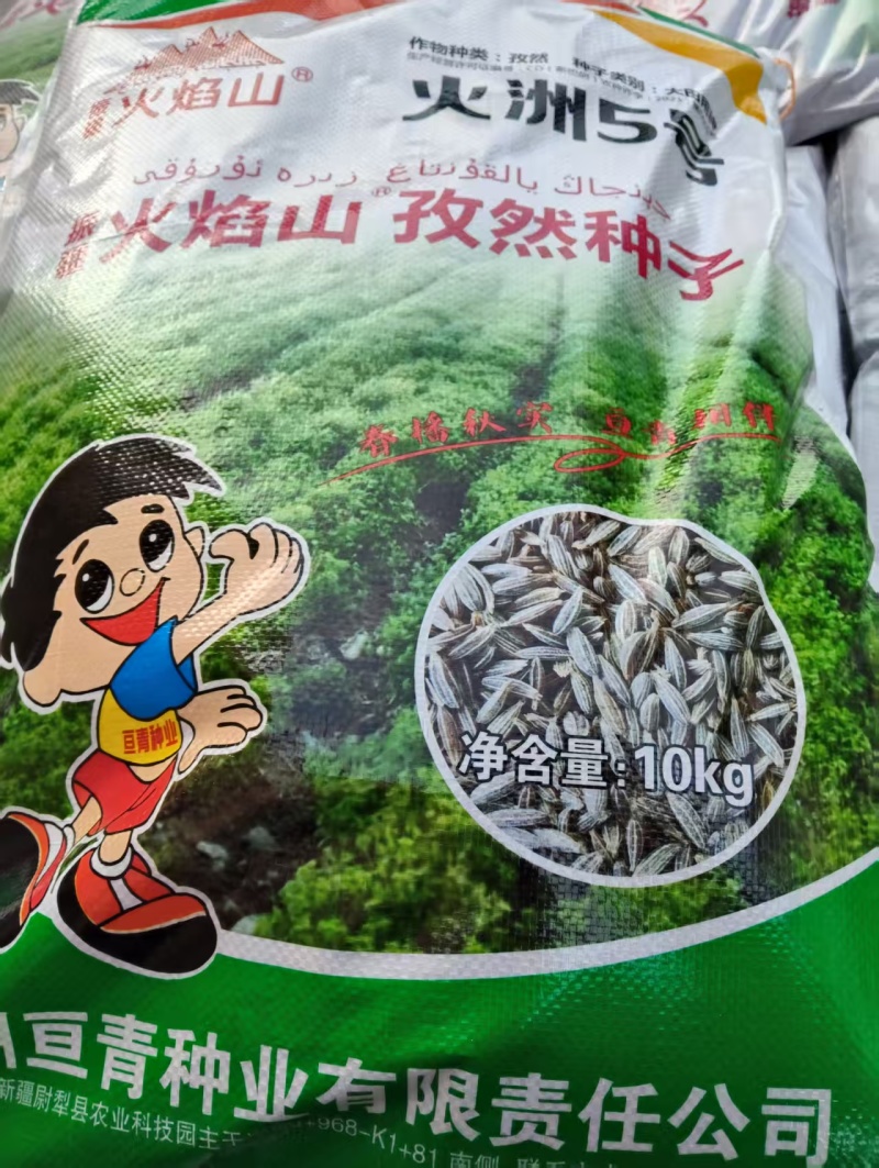 精品孜然价格优惠。厂家直发。保真保出。