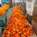 湖北橙子长虹脐橙货源充足实力代发全国商超