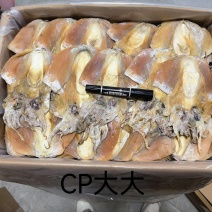 浙江本港6-7个一斤，自产自销，味道鲜美