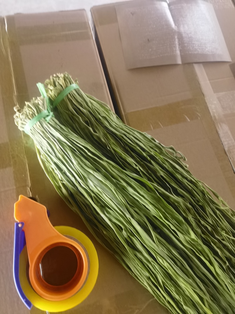 云南四级贡菜，食品厂，电商，酱菜工厂用货，可批发30公斤