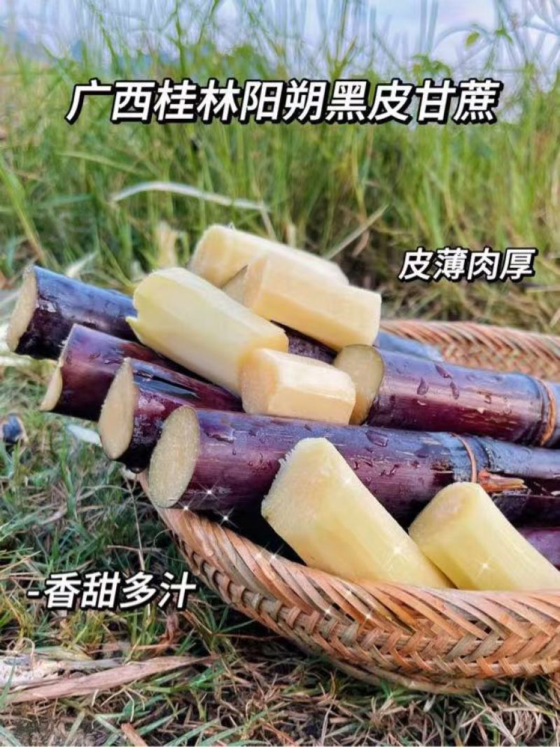 《黑皮甘蔗》桂林甘蔗/一件代发货源/直播，淘宝，京东