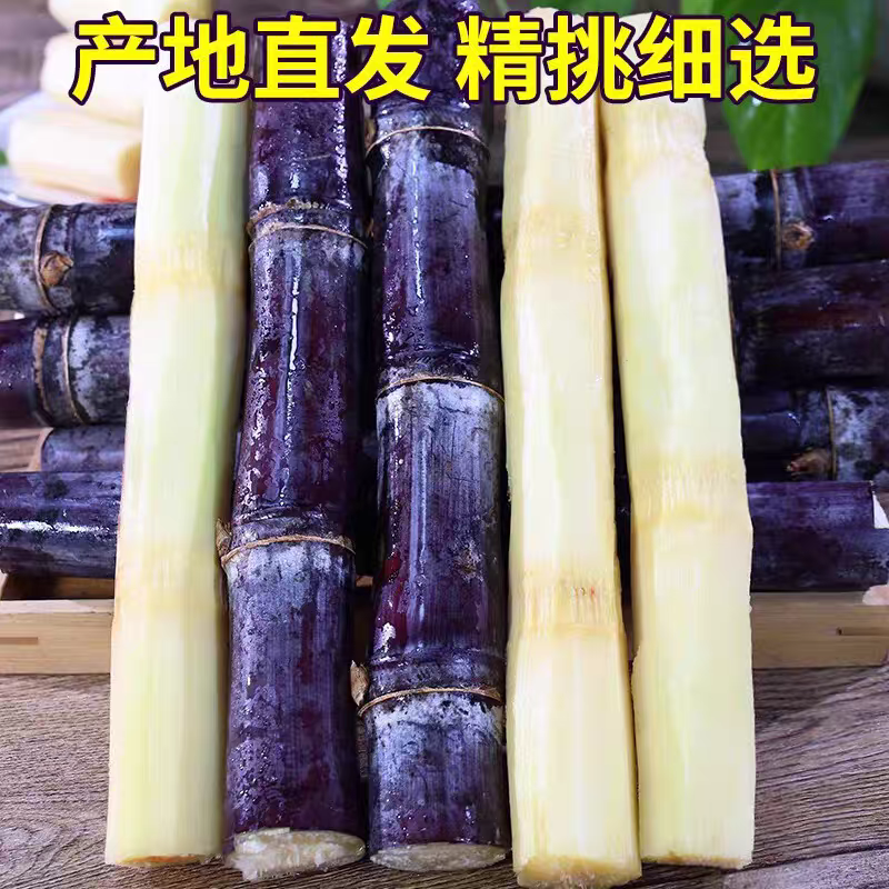《黑皮甘蔗》桂林甘蔗/一件代发货源/直播，淘宝，京东