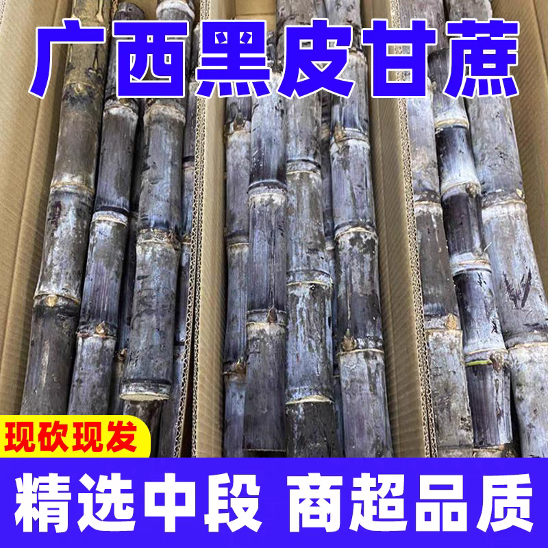 《黑皮甘蔗》桂林甘蔗/一件代发货源/直播，淘宝，京东