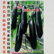 龙盛大将长茄种子早熟粗棒顺直油黑亮绿黑茄子种子果肉淡绿烧