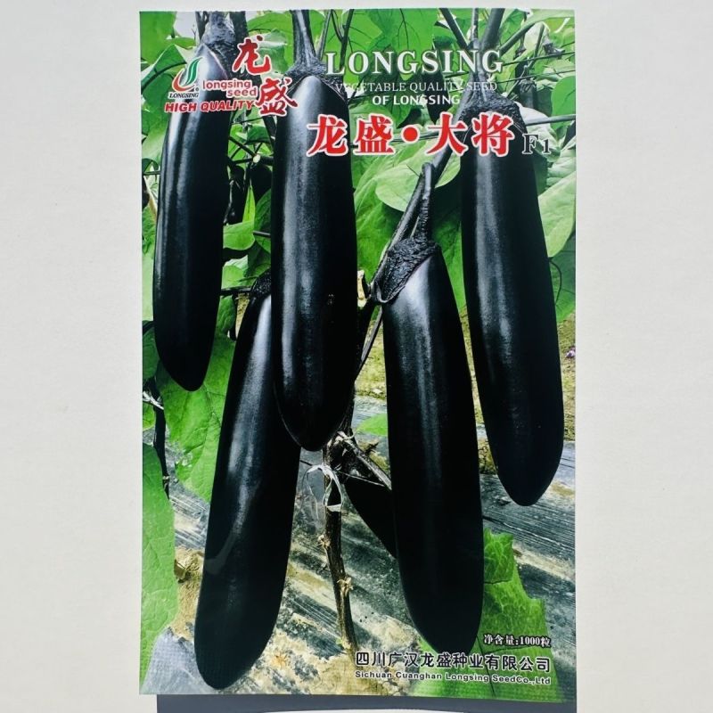 龙盛大将长茄种子早熟粗棒顺直油黑亮绿黑茄子种子果肉淡绿烧