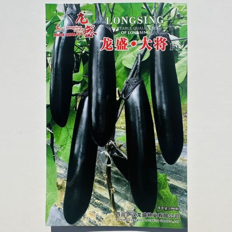 龙盛大将早熟杂交茄子种粗棒顺直抗病油亮品质佳果肉淡绿茄子