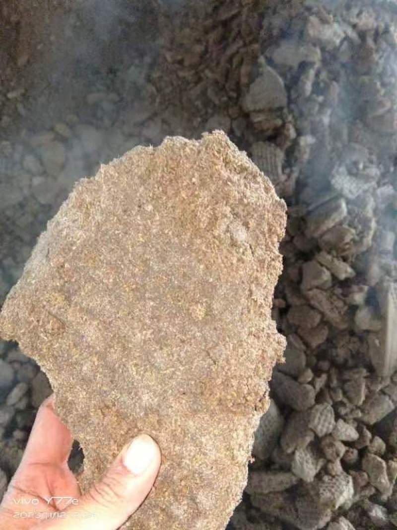 木薯渣