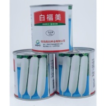 青硕白福美长白萝卜种籽高产耐寒秋冬播韩国进口白萝卜种子