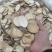 泽泻中药材规格齐全大货供应支持一件代发