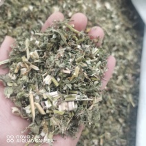 益母草切断过筛益母草正品野生全年大货供应