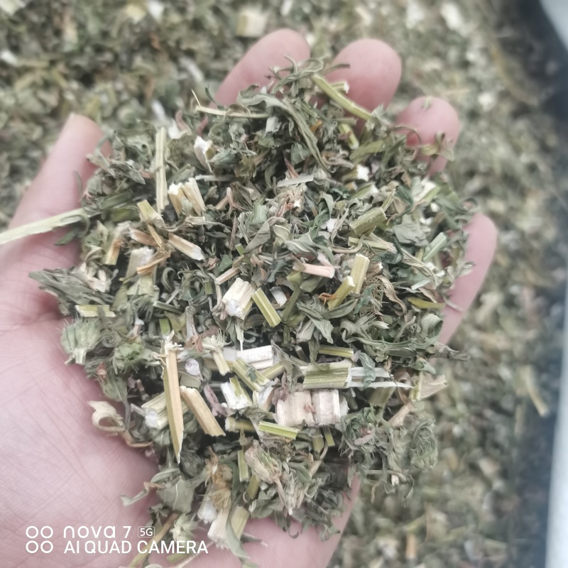 益母草切断过筛益母草正品野生全年大货供应